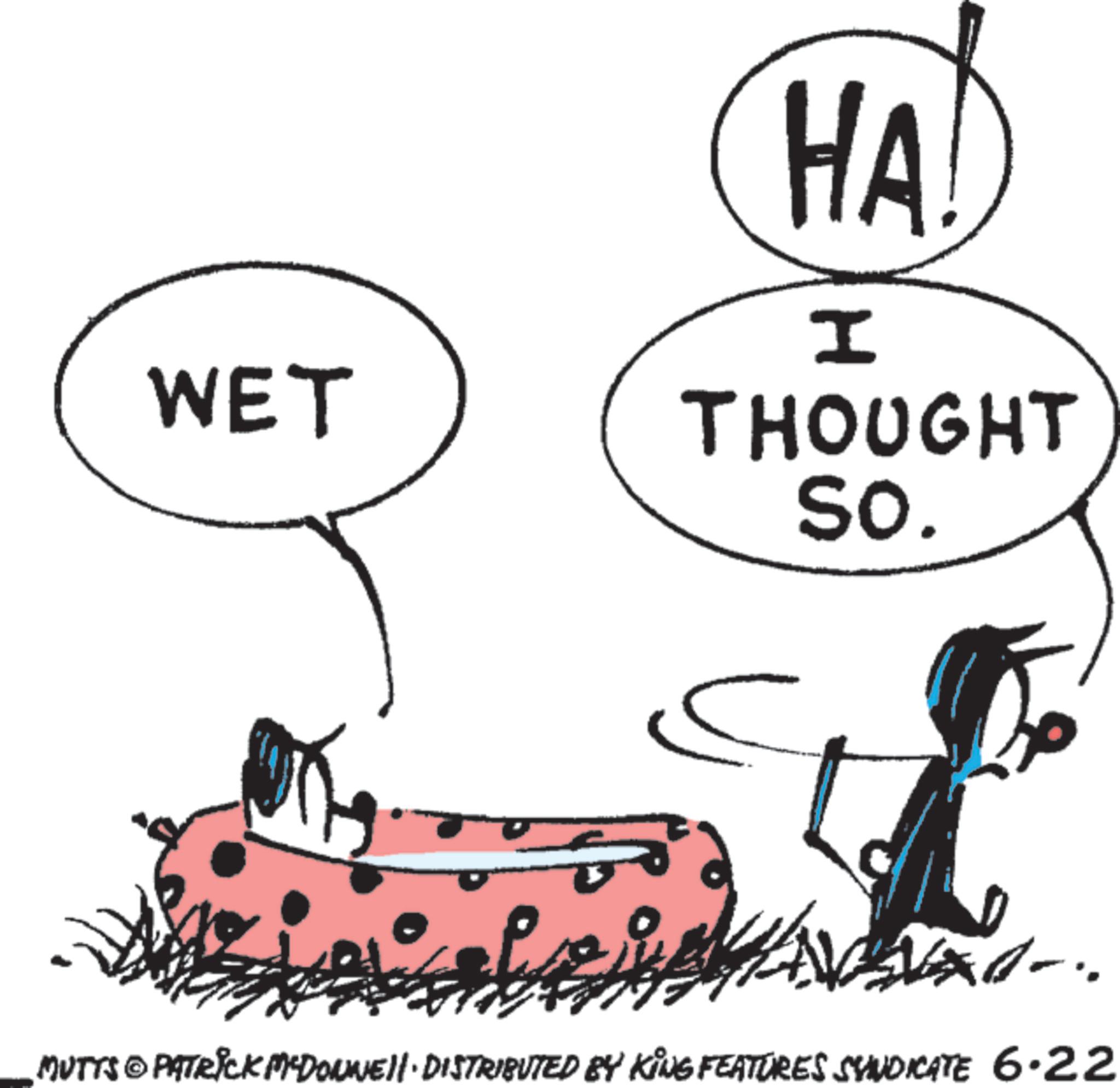 Clip art OCR: WET HA I THOUGHT So. 3 MUTTS © PATRICK MYDONNE!! · DISTRIBUTED BY KING FEATURES SYNDICATE 6.22 WET HA I THOUGHT So. 3 MUTTS © PATRICK MYDONNE !! · DISTRIBUTED BY KING FEATURES SYNDICATE 6.22