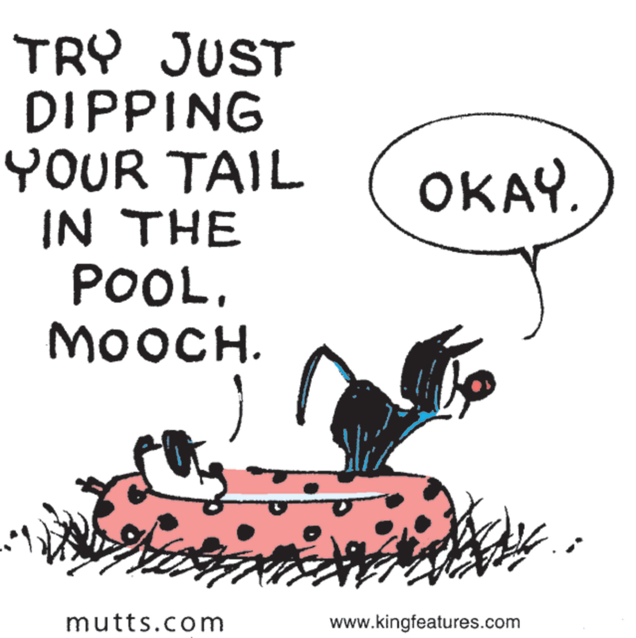 Animation OCR: TRY JUST DIPPING YOUR TAIL IN THE POOL. MOOCH. OKAY. mutts.com www.kingfeatures.com TRY JUST DIPPING YOUR TAIL IN THE POOL . MOOCH . OKAY . mutts.com www.kingfeatures.com