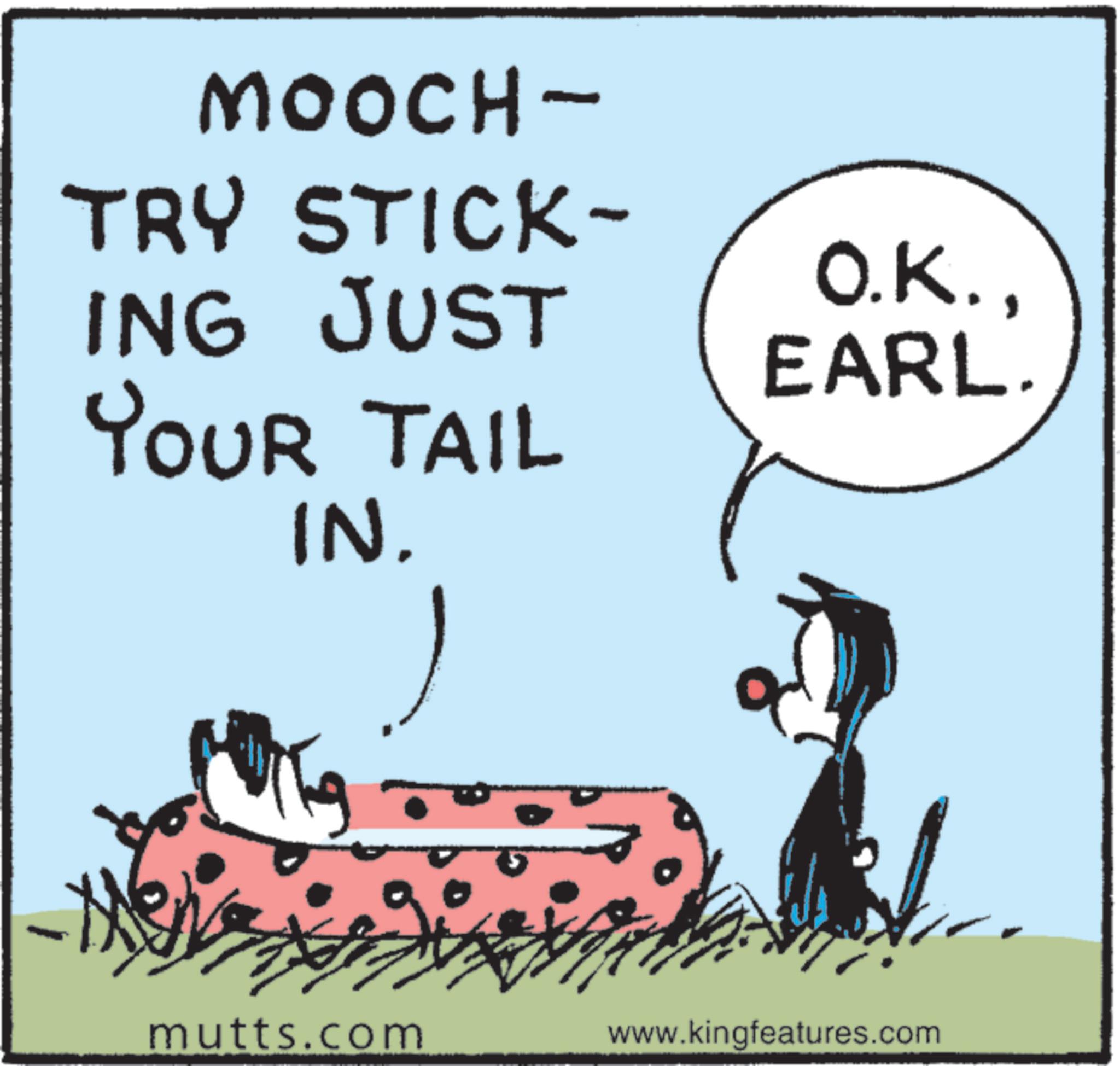 Comics OCR: MOOCH- TRY STICK- O.K.ING JUST YOUR TAIL IN. EARL. mutts.com www.kingfeatures.com MOOCH- TRY STICK- O.K.ING JUST YOUR TAIL IN . EARL . mutts.com www.kingfeatures.com