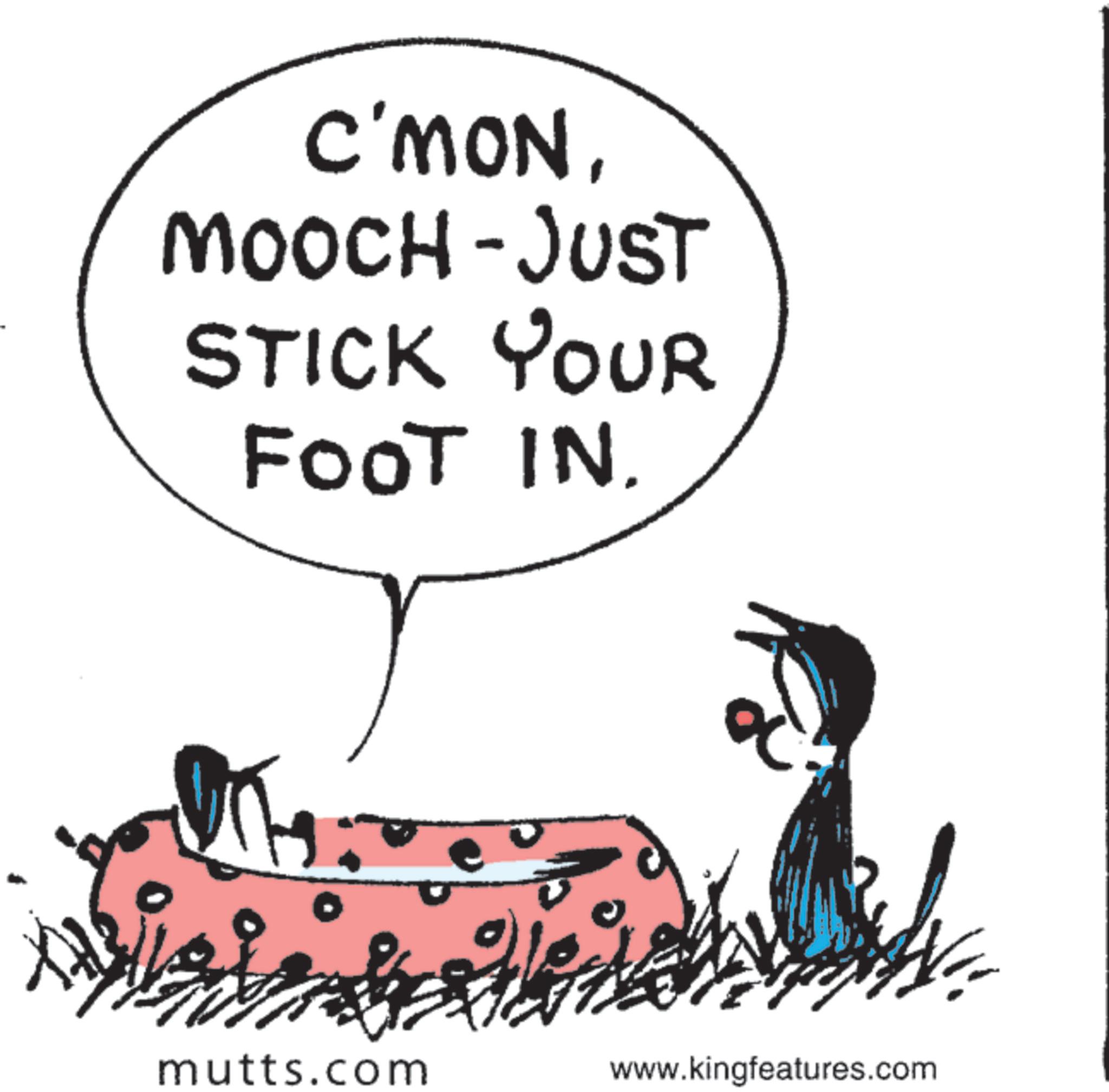 Animated cartoon OCR: - C'MONMOOCH-JUST STICK YOUR FOOT IN. mutts.com www.kingfeatures.com - C'MONMOOCH - JUST STICK YOUR FOOT IN . mutts.com www.kingfeatures.com