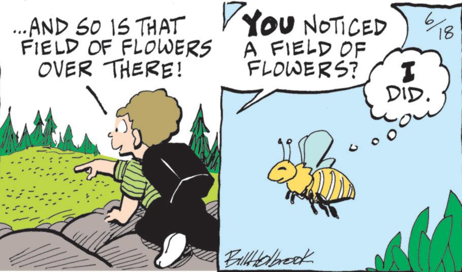 Sunflowers OCR: ... AND SO IS THAT FIELD OF FLOWERS OVER THERE! ? YOU NOTICED A FIELD OF FLOWERS? I DID. BillHolbrook 18 ... AND SO IS THAT FIELD OF FLOWERS OVER THERE ! ? YOU NOTICED A FIELD OF FLOWERS ? I DID . BillHolbrook 18