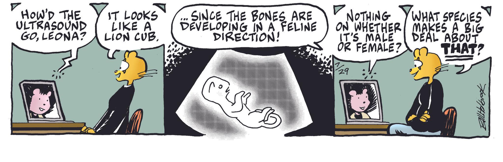 Publication OCR: HOW'D THE ULTRASOUND GOLEONA? IT LOOKS LIKE A LION CUB. SINCE THE BONES ARE DEVELOPING IN A FELINE DIRECTION! NOTHING ON WHETHER IT'S MALE OR FEMALE? WHAT SPECIES MAKES A BIG DEAL ABOUT THAT? 700994716 HOW'D THE ULTRASOUND GOLEONA ? IT LOOKS LIKE A LION CUB . SINCE THE BONES ARE DEVELOPING IN A FELINE DIRECTION ! NOTHING ON WHETHER IT'S MALE OR FEMALE ? WHAT SPECIES MAKES A BIG DEAL ABOUT THAT ? 700994716