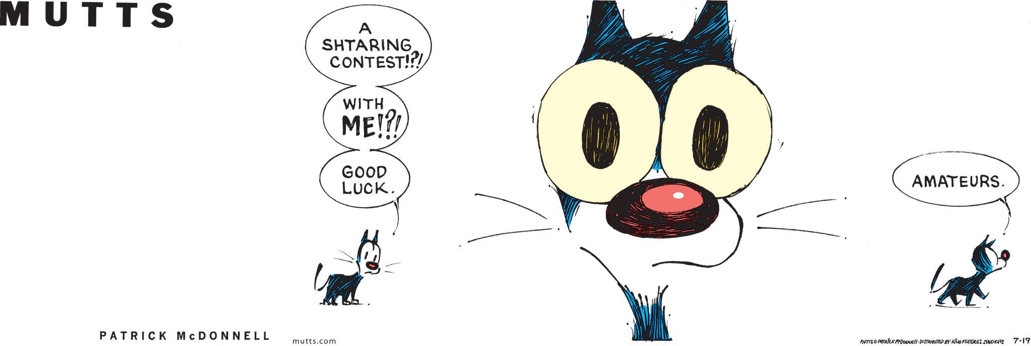 Graphic design OCR: MUTTS A SHTARING CONTEST!?! WITH ME!!! GOOD LUCK. PATRICK MCDONNELL mutts.com AMATEURS. MUTTS & PATRICK MYDOWE DISTRIBUTED BY KING FEATURES SYNDICATE 7.19 MUTTS A SHTARING CONTEST ! ? ! WITH ME !!! GOOD LUCK . PATRICK MCDONNELL mutts.com AMATEURS . MUTTS & PATRICK MYDOWE DISTRIBUTED BY KING FEATURES SYNDICATE 7.19