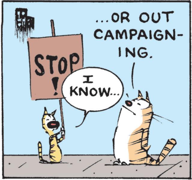 Felinae OCR: STOP H ... OR OUT CAMPAIGN- ING. KNOW... STOP H ... OR OUT CAMPAIGN- ING . KNOW ...