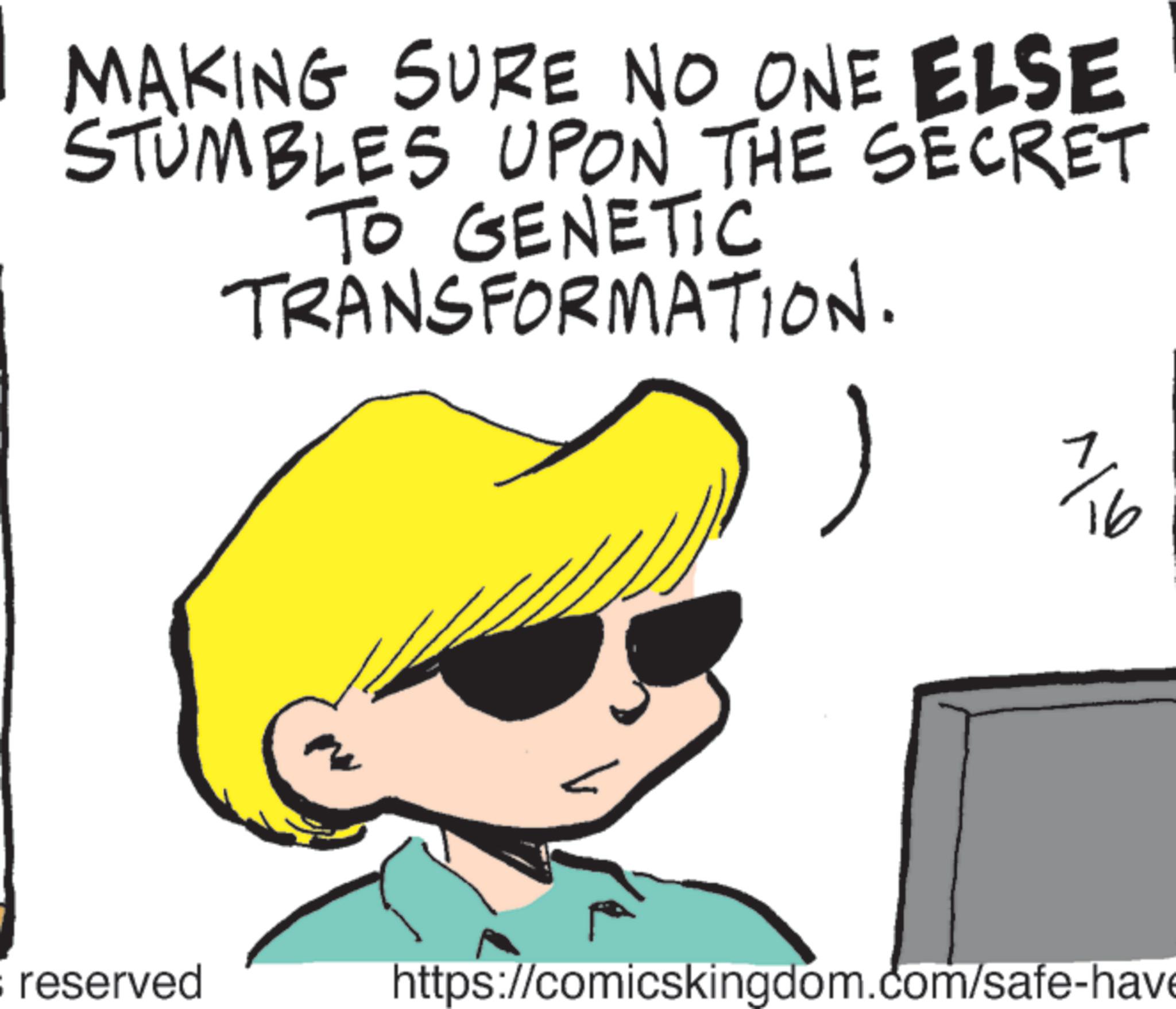 Photo caption OCR: MAKING SURE NO ONE ELSE STUMBLES UPON THE SECRET TO GENETIC TRANSFORMATION. 1 % ? 1/0 16 : reserved https://comicskingdom.com/safe-have MAKING SURE NO ONE ELSE STUMBLES UPON THE SECRET TO GENETIC TRANSFORMATION . 1 % ? 1/0 16 : reserved https://comicskingdom.com/safe-have