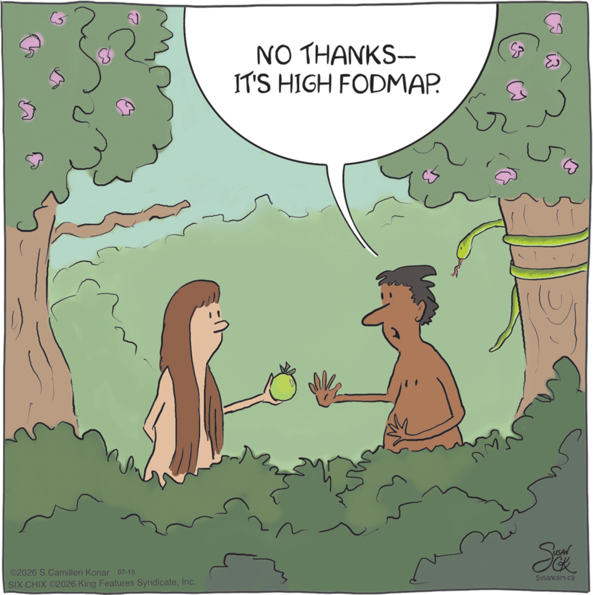 Animation OCR: NO THANKS- IT'S HIGH FODMAP. ©2026 S.Camilleri Konar 07-15 SIX CHIX ©2026 King Features SyndicateInc. Sc Susancam.ca NO THANKS- IT'S HIGH FODMAP . © 2026 S.Camilleri Konar 07-15 SIX CHIX © 2026 King Features SyndicateInc. Sc Susancam.ca