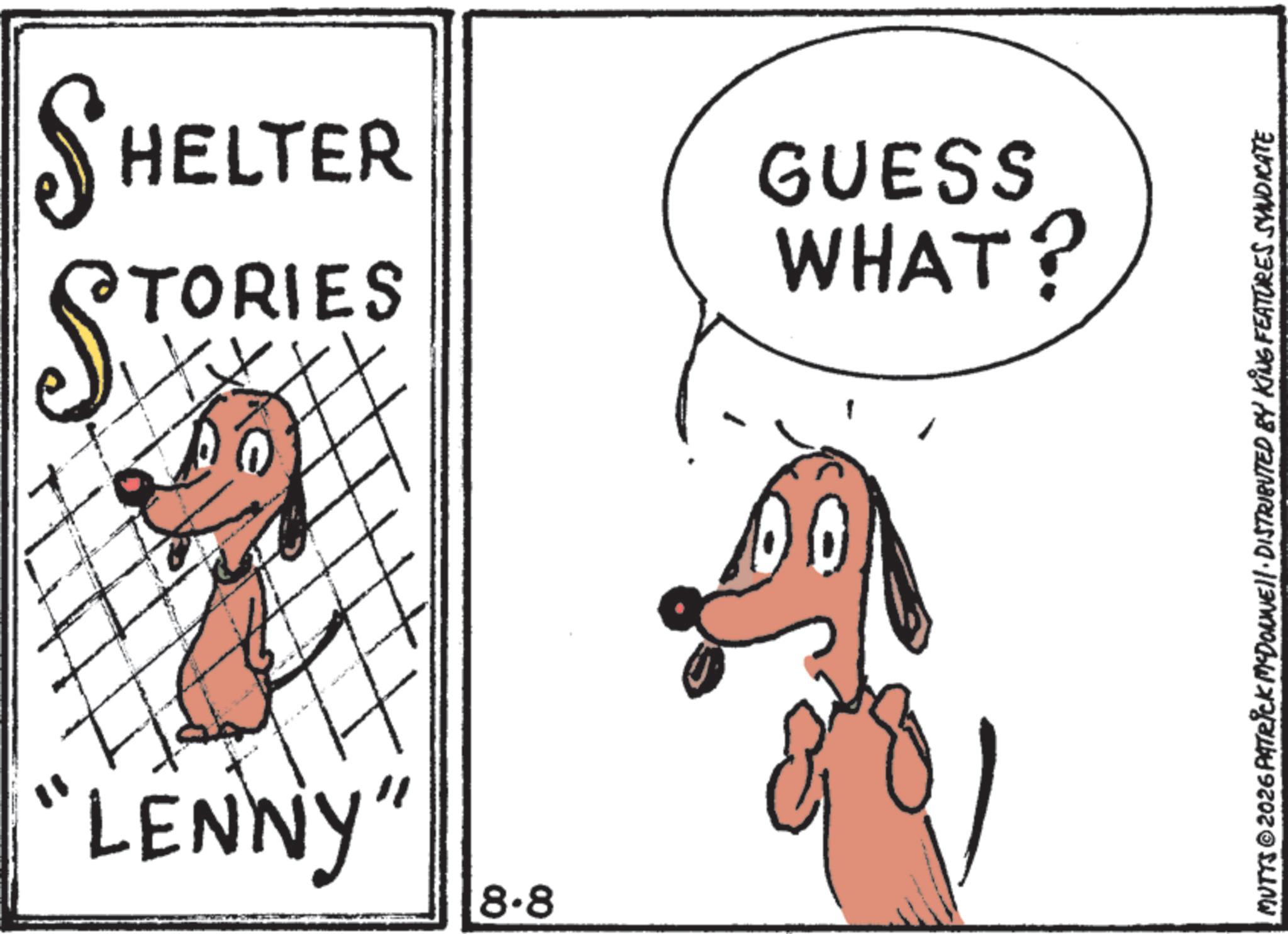 Tail OCR: STO TORIES SHELTER WHAT? GUESS "LENNY" 8.8 MUTTS © 2026 PATRICK MCDONNEll. DISTRIBUTED BY KING FEATURES SYNDICATE STO TORIES SHELTER WHAT ? GUESS " LENNY " 8.8 MUTTS © 2026 PATRICK MCDONNEll . DISTRIBUTED BY KING FEATURES SYNDICATE