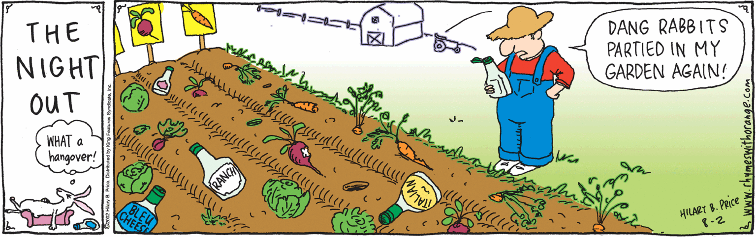 Illustration OCR: THE NIGHT DANG RABBITS PARTIED IN MY GARDEN AGAIN! OUT WHAT a hangover! RANCH HILART B. PRice 8-2 THE NIGHT DANG RABBITS PARTIED IN MY GARDEN AGAIN! OUT WHAT a hangover! RANCH HILART B. PRice 8-2