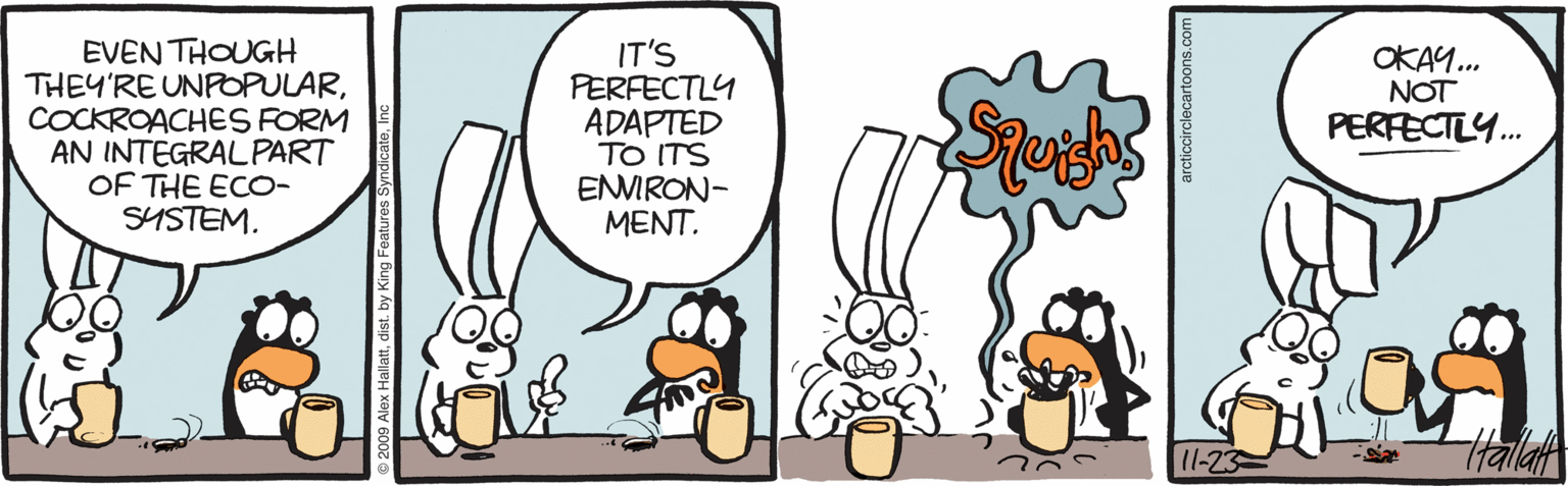 Humour OCR: EVEN THOUGH THEY'RE UNPOPULARCOCKROACHES FORM AN INTEGRALPART OF THE ECO- SYSTEM. IT'S PERFECTLY ADAPTED TO ITS ENMRON- MENT. OKAY.. NOT PERFECTLY.. 11-23 HalaA arcticcirclecartoons.com EVEN THOUGH THEY'RE UNPOPULARCOCKROACHES FORM AN INTEGRALPART OF THE ECO- SYSTEM. IT'S PERFECTLY ADAPTED TO ITS ENMRON- MENT. OKAY.. NOT PERFECTLY.. 11-23 HalaA arcticcirclecartoons.com