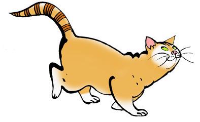 Hot Dog Featured Image