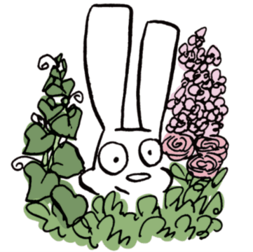 Howard Featured Image