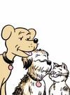 Barfy, Sam, and Kittycat Featured Image