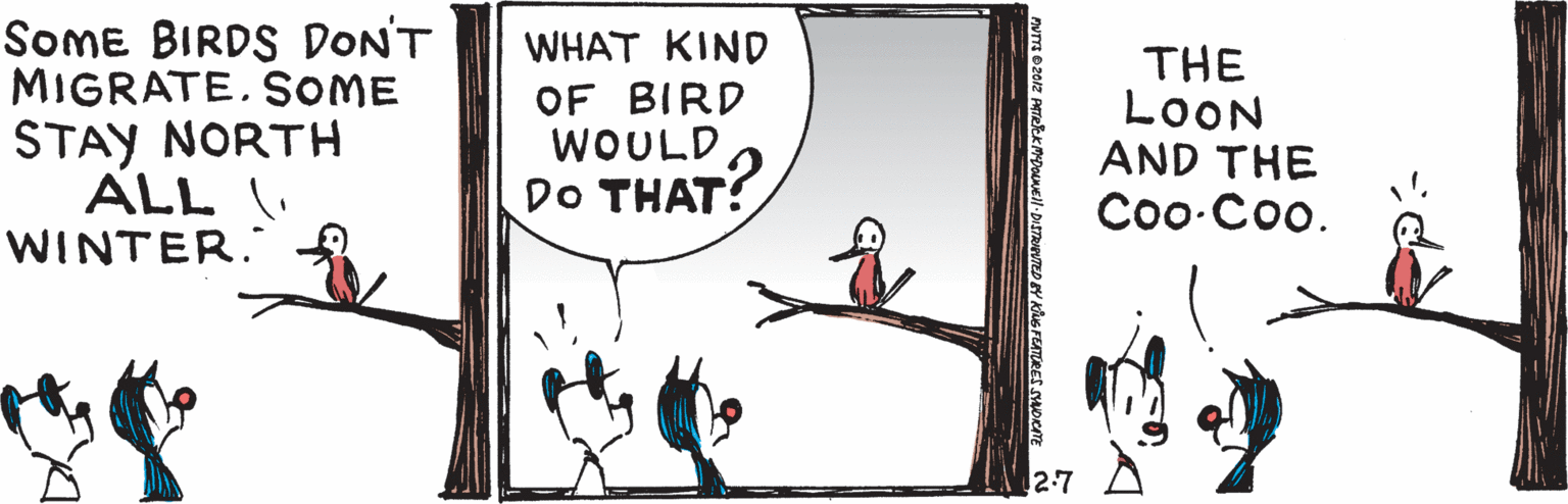 Window OCR: Some BIRDS DON'T MIGRATE. SOME STAY NORTH ALL (WINTER. WHAT KIND OF BIRD WOULD DO THAT? THE LOON AND THE Coo·Coo. 2-7 Some BIRDS DON'T MIGRATE. SOME STAY NORTH ALL (WINTER. WHAT KIND OF BIRD WOULD DO THAT? THE LOON AND THE Coo·Coo. 2-7