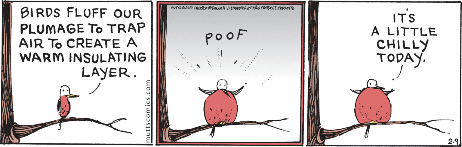 Drawing OCR: wH e 2012 ATekKMDOUNEll- DISTRIEVTED EY KUG FEATURES AoeTE BIRDS FLUFF OUR PLUMAGE To TRAP AIR To CREATE A WARM INSULATING LAYER. IT'S A LITTLE CHILLY TODAY. pooF 2-9. Imuttscomics.com wH e 2012 ATekKMDOUNEll- DISTRIEVTED EY KUG FEATURES AoeTE BIRDS FLUFF OUR PLUMAGE To TRAP AIR To CREATE A WARM INSULATING LAYER. IT'S A LITTLE CHILLY TODAY. pooF 2-9. Imuttscomics.com