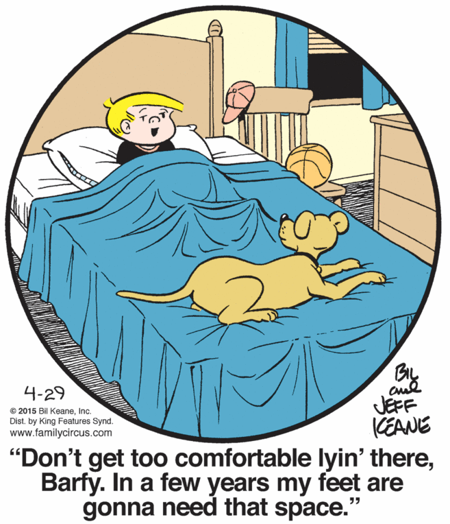 Illustration OCR: 4-29 JEFF KEANE "Don't get too comfortable lyin' thereBarfy. In a few years my feet are gonna need that space. © 2015 Bil KeaneInc. Dist. by King Features Synd. www.familycircus.com 4-29 JEFF KEANE "Don't get too comfortable lyin' thereBarfy. In a few years my feet are gonna need that space. © 2015 Bil KeaneInc. Dist. by King Features Synd. www.familycircus.com