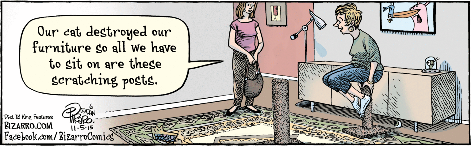 Animated cartoon OCR: BIZARRO.COM Facebook.com/BizarroComics Dist Y King features Our cat destroyed our furnitureso all we have to sit on are these scratching posts. 11.5.15 BIZARRO.COM Facebook.com/BizarroComics Dist Y King features Our cat destroyed our furnitureso all we have to sit on are these scratching posts. 11.5.15