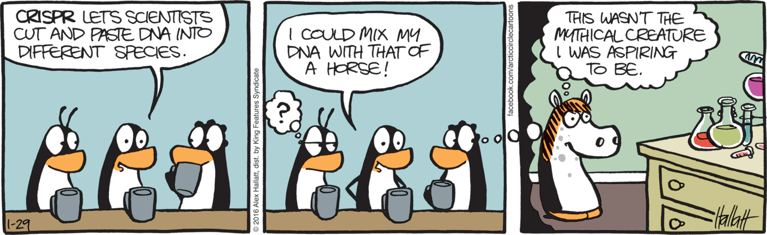 Handwriting OCR: CRISPR LETS SCIENTISTS CUT AND PASTE DNA INTO DIFFERENT SPECIES. I COULD MIX MY DNA WITH THAT OF A HORSE! THIS WASN'T THE MUTHICAL CREATURE I WAS ASPIRING To BE. 1-29 CRISPR LETS SCIENTISTS CUT AND PASTE DNA INTO DIFFERENT SPECIES. I COULD MIX MY DNA WITH THAT OF A HORSE! THIS WASN'T THE MUTHICAL CREATURE I WAS ASPIRING To BE. 1-29