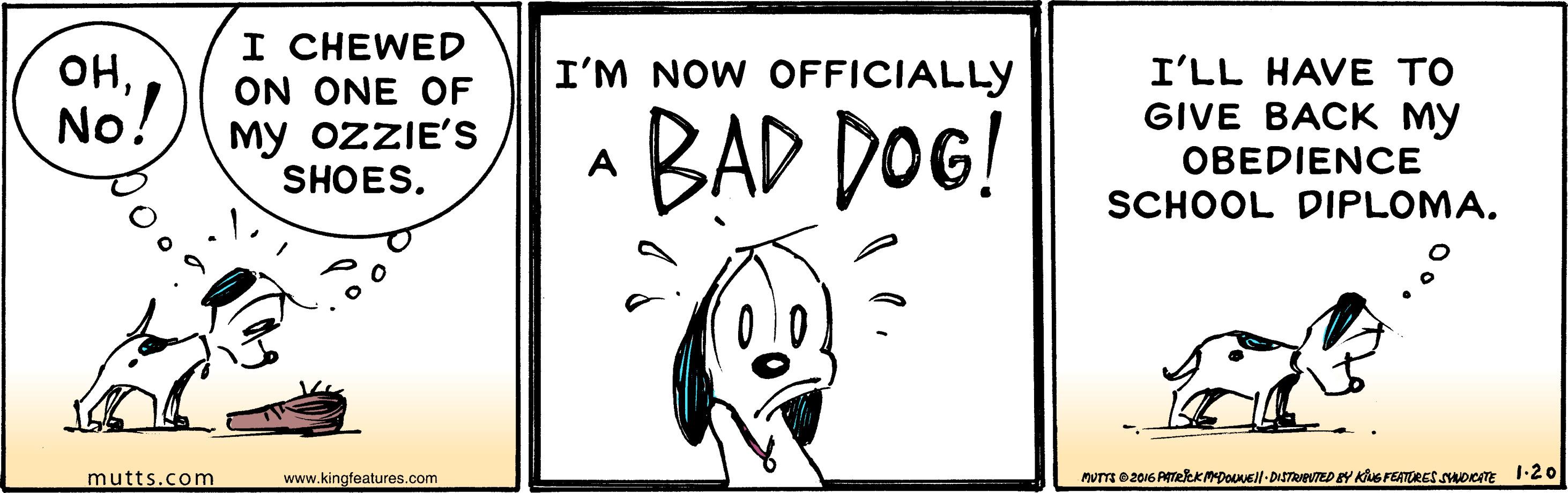 Parallel OCR: I CHEWED ON ONE OF My OZZIE'S SHOES. I'M NOW OFFICIALLY OHNo! BAD DOG! I'LL HAVE TO GIVE BACK My OBEDIENCE A SCHOOL DIPLOMA. mutts.com www.kingfeatures.com MUTTE 02016 ATeeKMDONEil-DISTRIEVTED EY KuS FEATORES swoRTE 1:20 I CHEWED ON ONE OF My OZZIE'S SHOES. I'M NOW OFFICIALLY OHNo! BAD DOG! I'LL HAVE TO GIVE BACK My OBEDIENCE A SCHOOL DIPLOMA. mutts.com www.kingfeatures.com MUTTE 02016 ATeeKMDONEil-DISTRIEVTED EY KuS FEATORES swoRTE 1:20