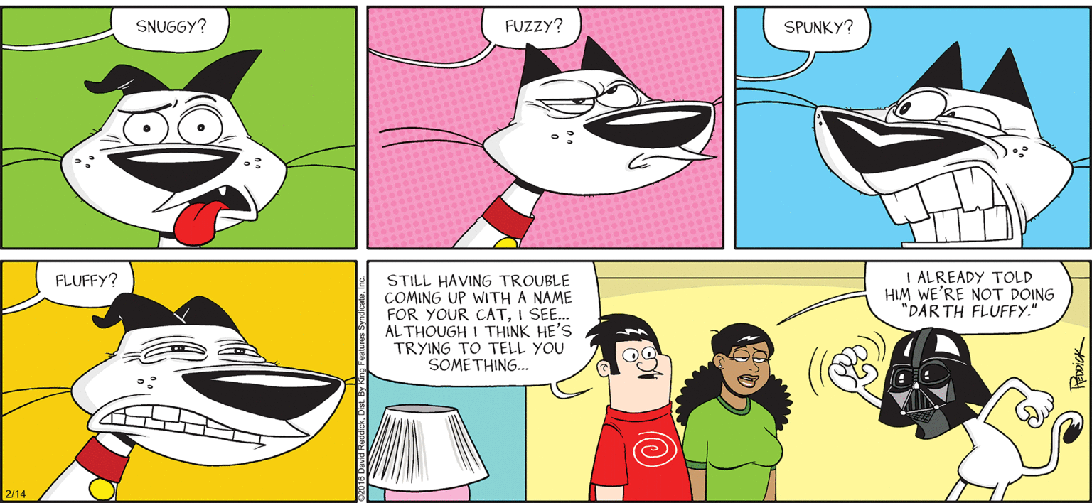 Pink OCR: INTELLIGENT LIFE BY DAVID REDDICK SNUGGY? FUZZY? SPUNKY? I ALREADY TOLD HIM WE'RE NOT DOING "DAR TH FLUFFY." FLUFFY? STILL HAVING TROUBLE COMING UP WITH A NAME FOR YOUR CATI SEE.. AL THOUGH I THINK HE'S TRYING TO TELL YOU SOMETHING. 2/14 INTELLIGENT LIFE BY DAVID REDDICK SNUGGY? FUZZY? SPUNKY? I ALREADY TOLD HIM WE'RE NOT DOING "DAR TH FLUFFY." FLUFFY? STILL HAVING TROUBLE COMING UP WITH A NAME FOR YOUR CATI SEE.. AL THOUGH I THINK HE'S TRYING TO TELL YOU SOMETHING. 2/14