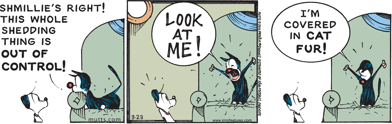 Drawing OCR: SHMILLIE'S RIGHT! LOOK AT ME! I'M COVERED IN CAT FUR! THIS WHOLE SHEDDING THING IS OUT OF CONTROL! 3-23 mutts.com www.kingteatures.com SHMILLIE'S RIGHT! LOOK AT ME! I'M COVERED IN CAT FUR! THIS WHOLE SHEDDING THING IS OUT OF CONTROL! 3-23 mutts.com www.kingteatures.com