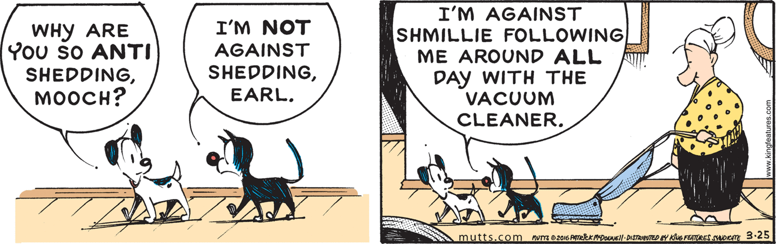 Terrestrial animal OCR: WHY ARE You so ANTI SHEDDING?????? I'M NOT AGAINST SHEDDINGEARL. I'M AGAINST SHMILLIE FOLLOWING ME AROUND ALL DAY WITH THE VACUUM CLEANER. mutts.com nuae201G AekKMDos- DISTRETED BY Ks FEATURES DCr 3:25 WHY ARE You so ANTI SHEDDING?????? I'M NOT AGAINST SHEDDINGEARL. I'M AGAINST SHMILLIE FOLLOWING ME AROUND ALL DAY WITH THE VACUUM CLEANER. mutts.com nuae201G AekKMDos- DISTRETED BY Ks FEATURES DCr 3:25