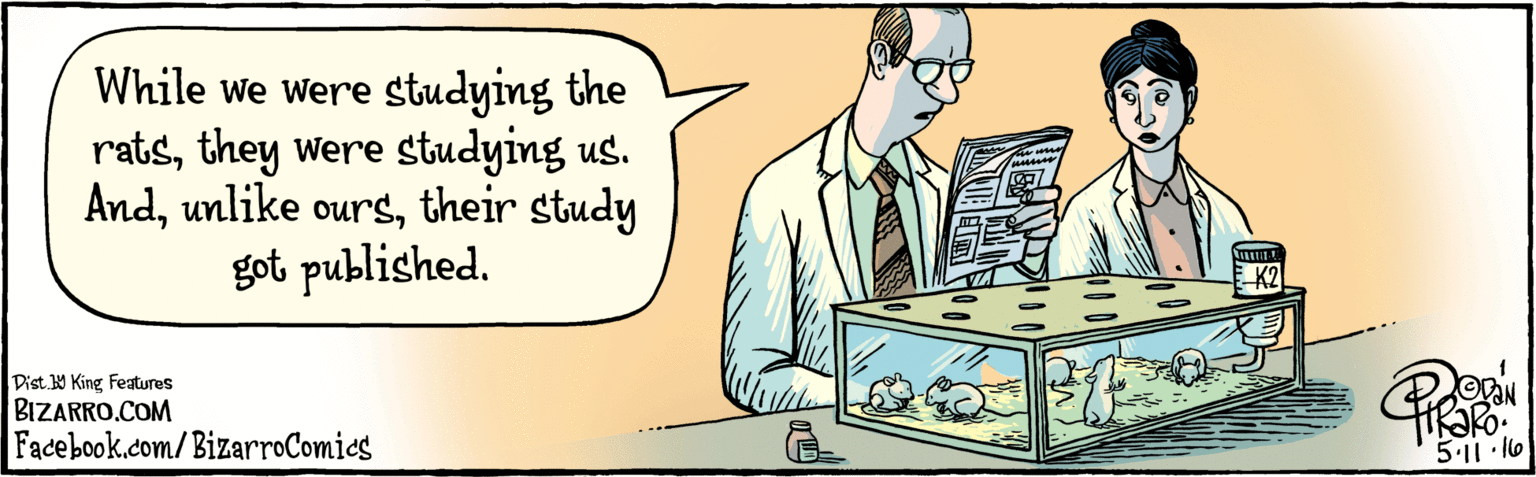 Parallel OCR: BIZARRO.COM Facebook.com/BizarroComics Dist Y King Features While we were studying the ratsunlike ourstheir study got published. 5:11 lo K2 BIZARRO.COM Facebook.com/BizarroComics Dist Y King Features While we were studying the ratsthey were studying us. Andunlike ourstheir study got published. 5:11 lo K2