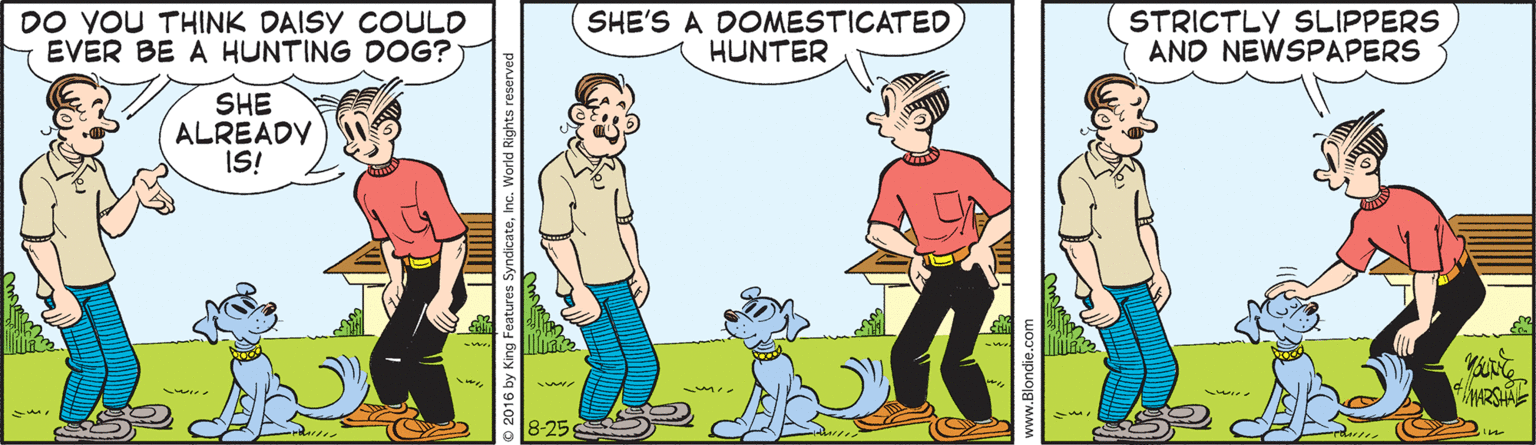 Conversation OCR: DO YOU THINK DAISY COULD EVER BE A HUNTING DOG? SHE'S A DOMESTICATED HUNTER STRICTLY SLIPPERS AND NEWSPAPERS SHE ALREADY IS! 8-25 DO YOU THINK DAISY COULD EVER BE A HUNTING DOG? SHE'S A DOMESTICATED HUNTER STRICTLY SLIPPERS AND NEWSPAPERS SHE ALREADY IS! 8-25