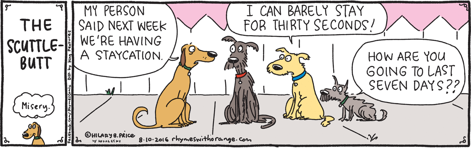 Rectangle OCR: I CAN BARELY STAY FOR THIRTY SECONDS! MY PERSON SAID NEXT WEEK WE'RE HAVING A STAYCATION. THE SCUTTLE- BUTT HOW ARE YOu GOING TO LAST SEVEN DAYS?? Misery. ©HILARY8.PRICE 8.10-2016 rhymeswithorange.com ny kevAL ESHe I CAN BARELY STAY FOR THIRTY SECONDS! MY PERSON SAID NEXT WEEK WE'RE HAVING A STAYCATION. THE SCUTTLE- BUTT HOW ARE YOu GOING TO LAST SEVEN DAYS?? Misery. ©HILARY8.PRICE 8.10-2016 rhymeswithorange.com ny kevAL ESHe