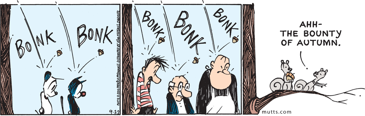 Adaptation OCR: BONK BONK ???- THE BOUNTY OF AUTUMN. 9.22 mutts.com BONK BONK BONK BONK BONK ???- THE BOUNTY OF AUTUMN. 9.22 mutts.com BONK BONK BONK