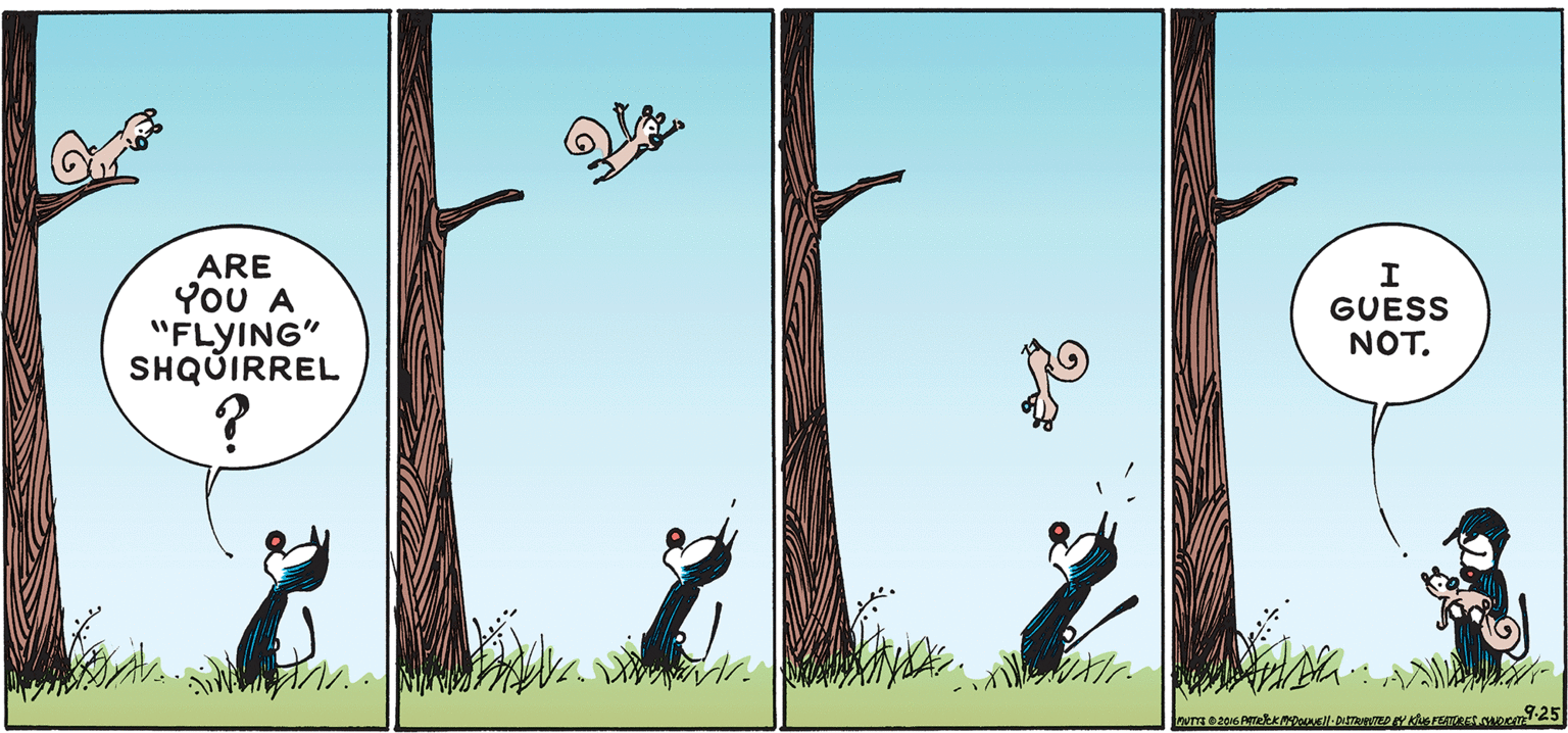 Art OCR: ARE YoU A "FLYING" SHQÚIRREL GUESS NOT. ARE YoU A "FLYING" SHQÚIRREL GUESS NOT.