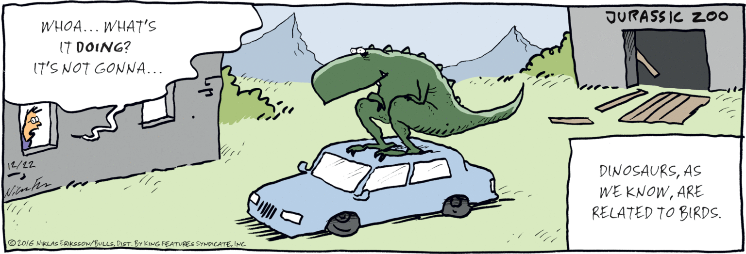 Hood OCR: WHOA. WHAT'S IT DOING? 17'S NOT GONNA... JURASS IC Z00 12/22 DINOSAURSARE RELATED TO BIRDS. ©2016 NIKLAS ERIKESON/BULLSINC. WHOA. WHAT'S IT DOING? 17'S NOT GONNA... JURASS IC Z00 12/22 DINOSAURSAS WE KNOWARE RELATED TO BIRDS. ©2016 NIKLAS ERIKESON/BULLSDIST. BY KING FEATURES SYNDICATE