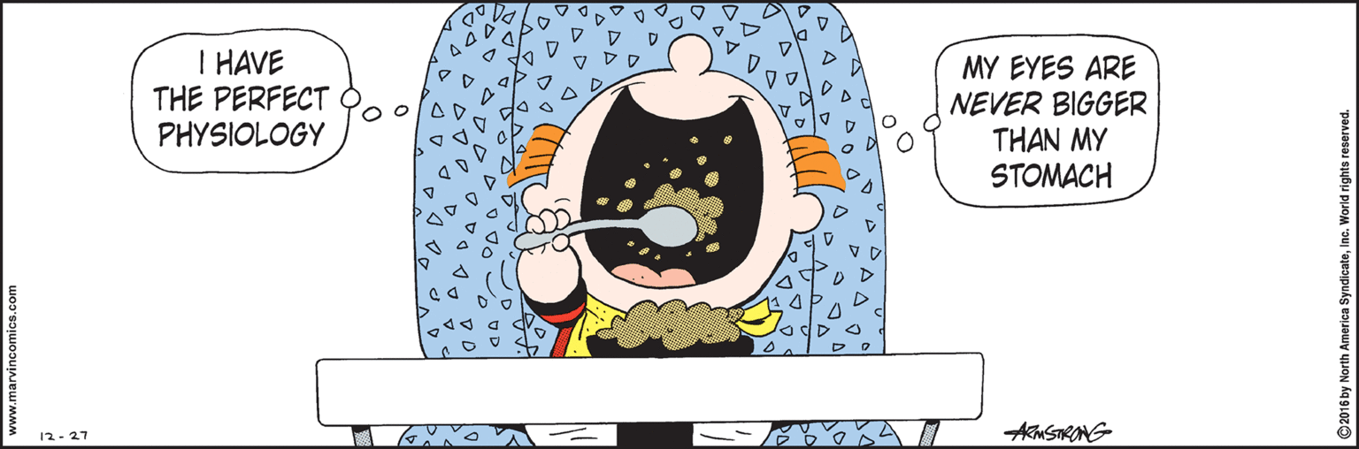 Animated cartoon OCR: I HAVE THE PERFECT PHYSIOLOGY MY EYES ARE NEVER BIGGER THAN MY STOMACH AkMSTRONG 12- 27 2016 by North America SyndicateInc. Worid rights reserved. I HAVE THE PERFECT PHYSIOLOGY MY EYES ARE NEVER BIGGER THAN MY STOMACH AkMSTRONG 12- 27 2016 by North America SyndicateInc. Worid rights reserved.