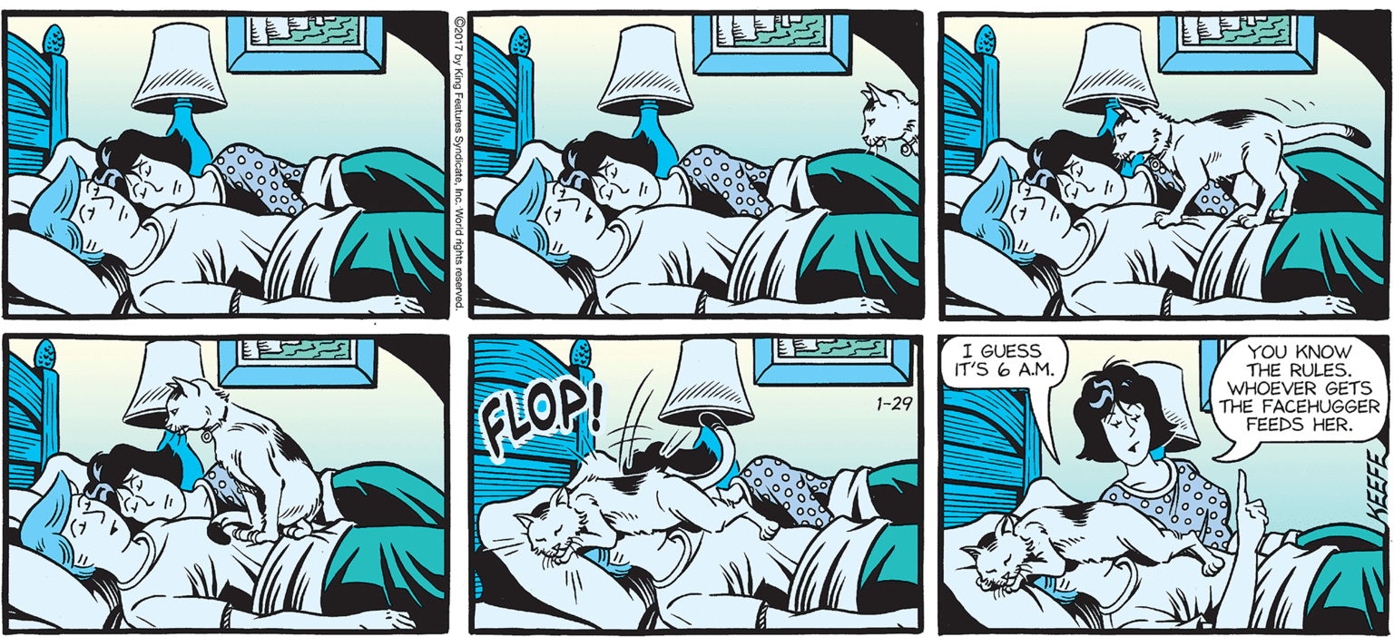 Art OCR: SALLY FORTH Francesco Marciuliano I GUESS IT'S 6 A.M. FLOP YOU KNOW THE RULES. WHOEVER GETS THE FACEHUGGER 1-29 FEEDS HER. 1111 SALLY FORTH Francesco Marciuliano I GUESS IT'S 6 A.M. FLOP YOU KNOW THE RULES. WHOEVER GETS THE FACEHUGGER 1-29 FEEDS HER. 1111