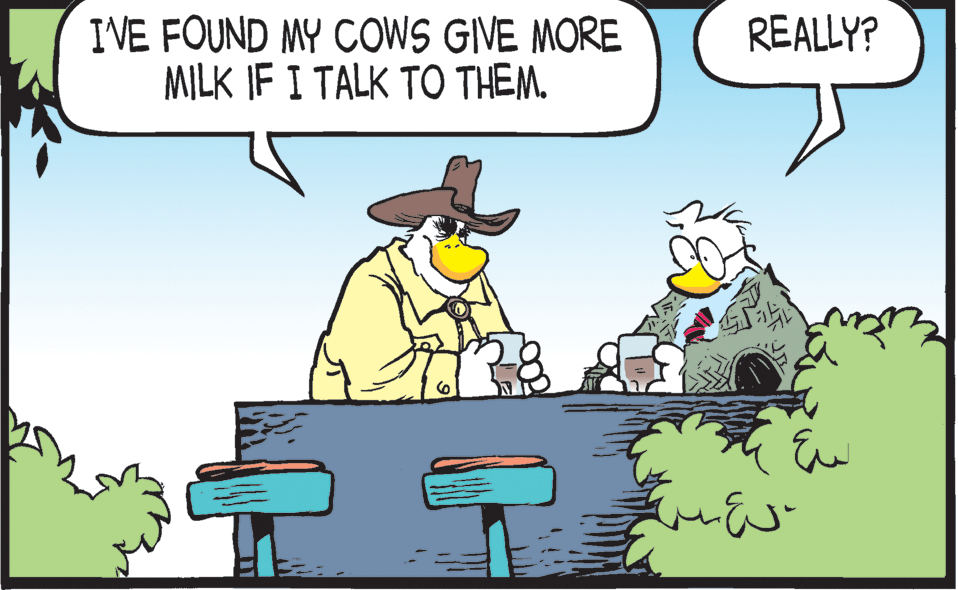 Adaptation OCR: IVE FOUND MY COWS GIVE MORE MILK IF I TALK TO THEM. REALLY? Eu IVE FOUND MY COWS GIVE MORE MILK IF I TALK TO THEM. REALLY? Eu
