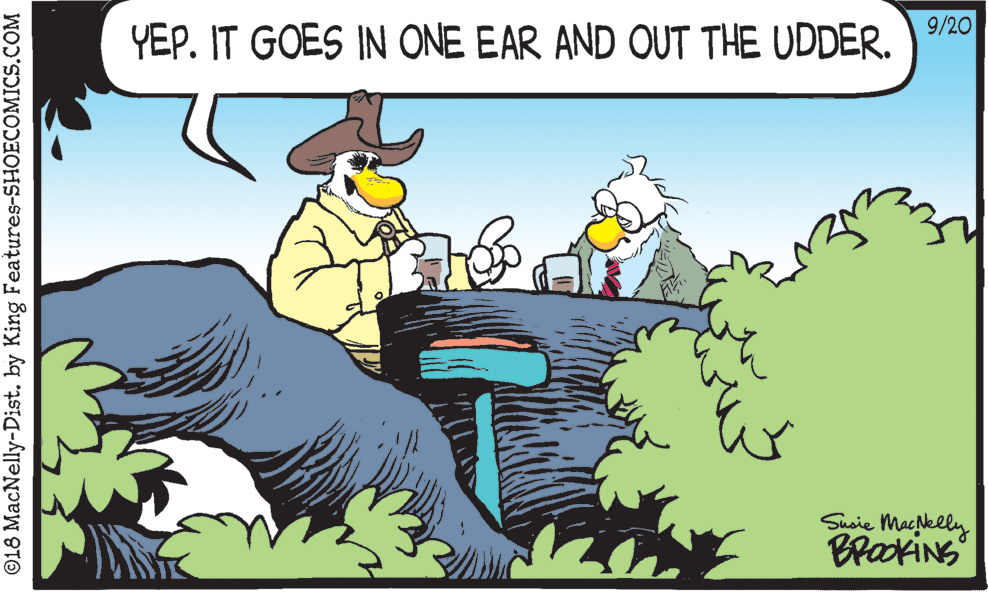 Humour OCR: YEP. IT GOES IN ONE EAR AND OUT THE UDDER. ) /20 Susie MacNelly BrookiNS ©18 MacNelly-Dist. by King Features-SHOECOMICS.COM YEP. IT GOES IN ONE EAR AND OUT THE UDDER. ) /20 Susie MacNelly BrookiNS ©18 MacNelly-Dist. by King Features-SHOECOMICS.COM