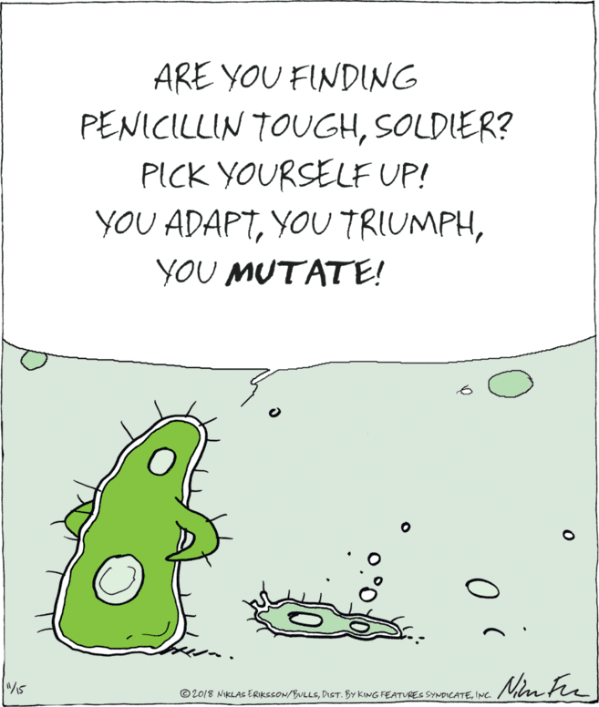 Drawing OCR: ARE YOU FINDING PENICILLIN TOUGHSOLDIER? PICK YOURSELF UP! YOU ADAPTYOU MUTATE! Man Fre 15 ©2018 NIKLAS ERIKSSON/BULLSINC ARE YOU FINDING PENICILLIN TOUGHSOLDIER? PICK YOURSELF UP! YOU ADAPTYOU TRIUMPHYOU MUTATE! Man Fre 15 ©2018 NIKLAS ERIKSSON/BULLSDIST. BY KING FEATURES SYMDICATE