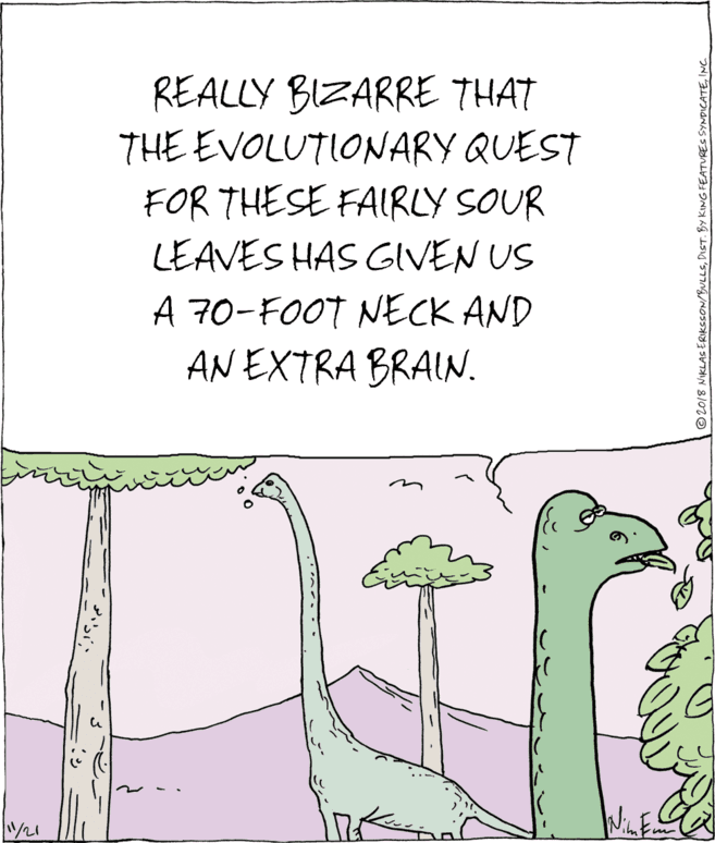 Drawing OCR: REALLY BIZARRE THAT THE EVOLUTIONARY QUEST FOR THESE FAIRLY SOUR LEAVES HAS GIVEN US A 70-FOOT NECK AND AN EXTRA BRAIN. ©2018 NIKLAC ERIKcCON/BULLSINC. REALLY BIZARRE THAT THE EVOLUTIONARY QUEST FOR THESE FAIRLY SOUR LEAVES HAS GIVEN US A 70-FOOT NECK AND AN EXTRA BRAIN. ©2018 NIKLAC ERIKcCON/BULLSDIST. BY KING FEATURES SYNDICATE
