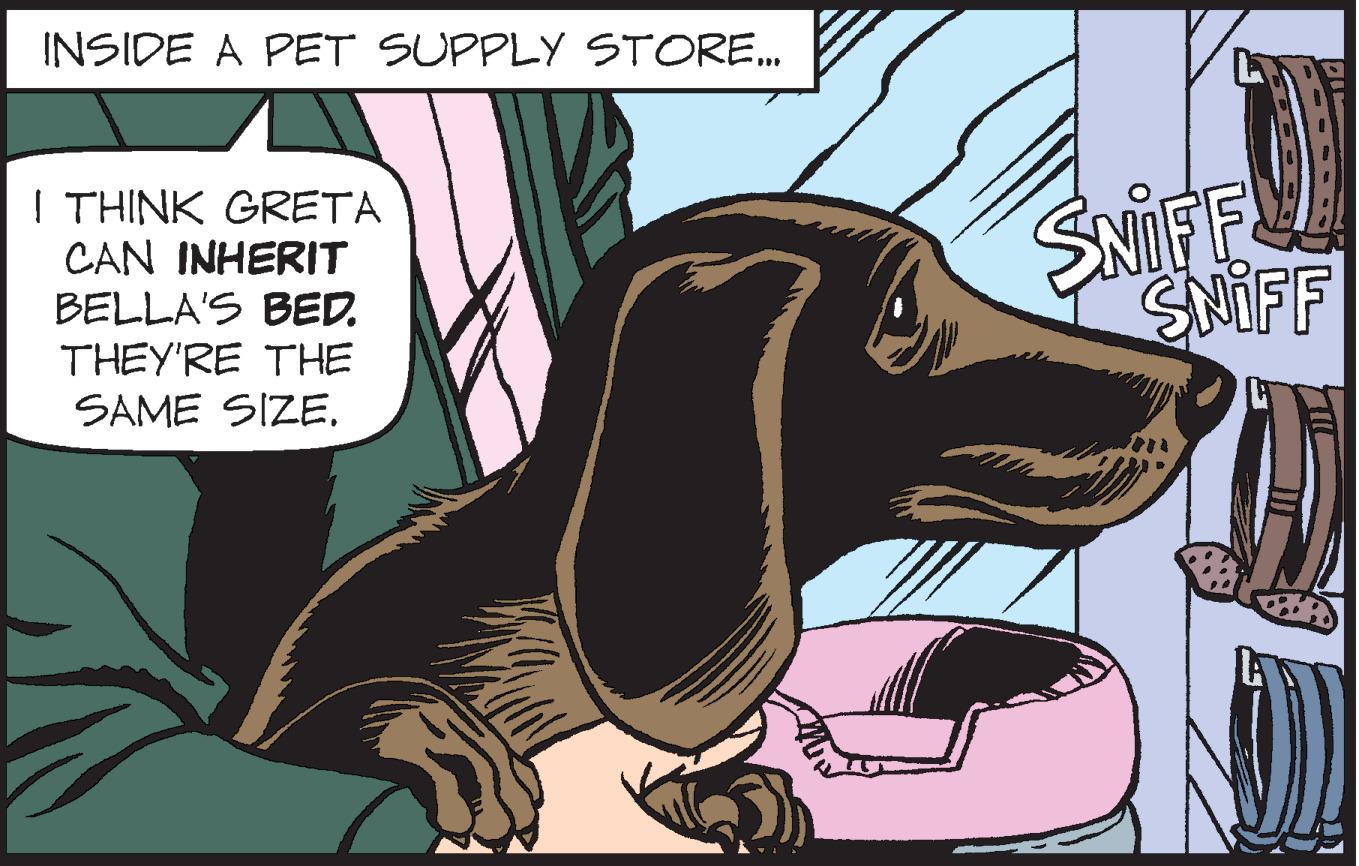 Scent hound OCR: INSIDE A PET SUPPLY STORE. I THINK GRETA CAN INHERIT BELLA'S BED. THEY'RE THE SAME SIZESNIFF SWIFF INSIDE A PET SUPPLY STORE. I THINK GRETA CAN INHERIT BELLA'S BED. THEY'RE THE SAME SIZESNIFF SWIFF
