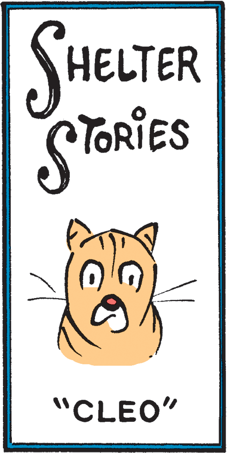 Happy OCR: SHELTER STORIES "CLEO" SHELTER STORIES "CLEO"