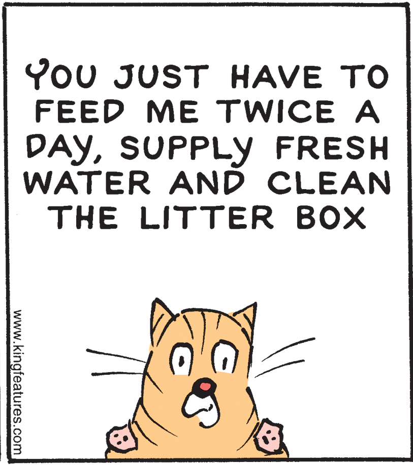 Illustration OCR: YoU JUST HAVE TO FEED ME TWICE A DAYSUPPLY FRESH WATER AND CLEAN THE LITTER BOX www.kingfeatures.com YoU JUST HAVE TO FEED ME TWICE A DAYSUPPLY FRESH WATER AND CLEAN THE LITTER BOX www.kingfeatures.com