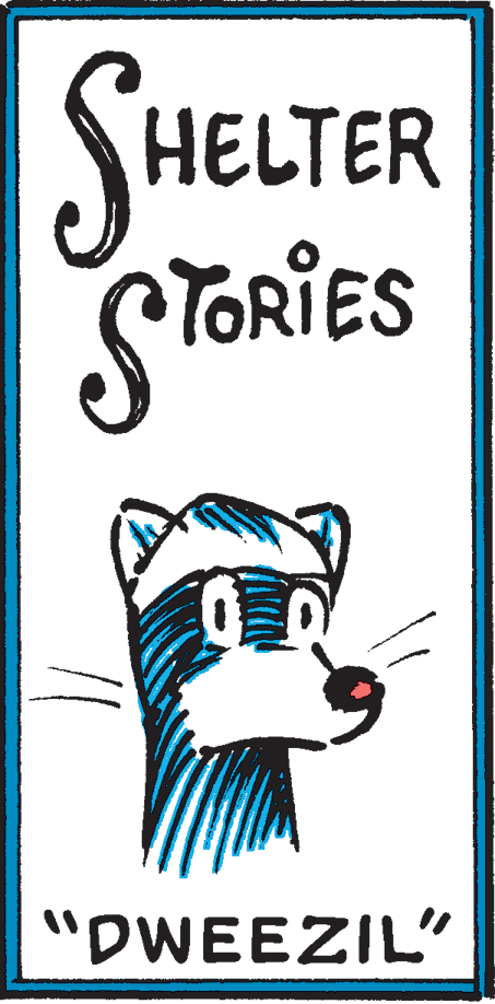 Electric blue OCR: SHELTER STORIES "DWEEZIL" SHELTER STORIES "DWEEZIL"