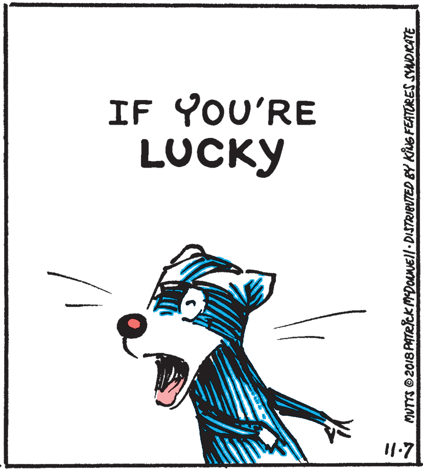 Rectangle OCR: IF YOU'RE LUCKY I1.7 MUTTS 2018 PATRICK MDONEll-DISTRIBUTED BY KING FEATURES SYNDICATE IF YOU'RE LUCKY I1.7 MUTTS 2018 PATRICK MDONEll-DISTRIBUTED BY KING FEATURES SYNDICATE