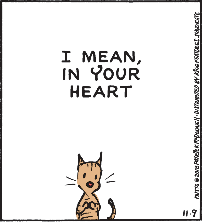 Terrestrial animal OCR: I MEANIN YOUR HEART I1.9 MUTTS ©2018 PATRICK MDOUNEl DISTRIBUTED BY KNG FEATORES SYNOKATE I MEANIN YOUR HEART I1.9 MUTTS ©2018 PATRICK MDOUNEl DISTRIBUTED BY KNG FEATORES SYNOKATE