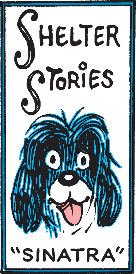 Happy OCR: SHELTER STORIES "SINATRA" SHELTER STORIES "SINATRA"