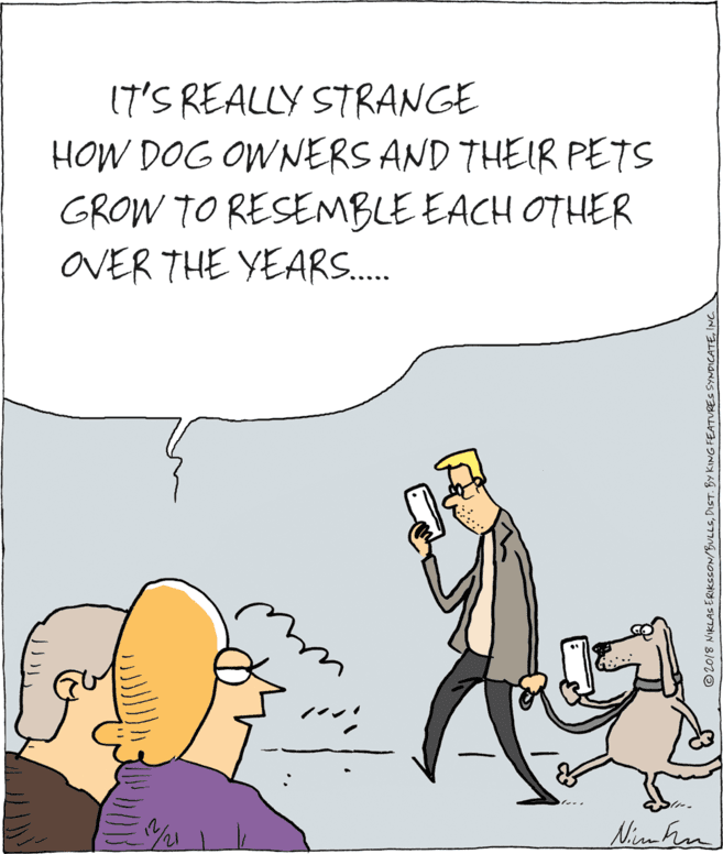 Humour OCR: 17'S REALLY STRANGE HOW DOG OWNERS AND THEIR PETS GROW TO RESEMBLE EACH OTHER OVER THE YEARS. wid Ninhen © 2018 NIKLAS ERIKSSON/BULLSINC. N 17'S REALLY STRANGE HOW DOG OWNERS AND THEIR PETS GROW TO RESEMBLE EACH OTHER OVER THE YEARS. wid Ninhen © 2018 NIKLAS ERIKSSON/BULLSDIST. BY KING FEATUREs SYNDICATEINC. N