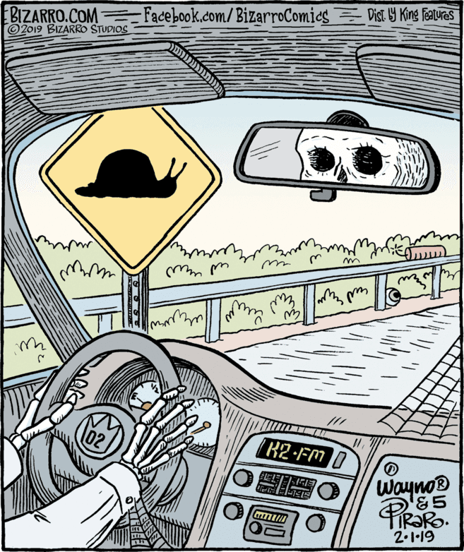 Fictional character OCR: BIZARRO.COM Facebook.com/BizarroComics 2019 BIZARRO STUDIOS Dist Y King Features |K2-FM O wayno PrO IR?R. 2.1·19 BIZARRO.COM Facebook.com/BizarroComics 2019 BIZARRO STUDIOS Dist Y King Features |K2-FM O wayno PrO IR?R. 2.1·19