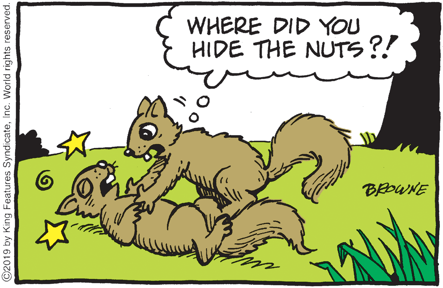 Carnivore OCR: WHERE DID YOU HIDE THE NUTS?! BEDWNE ©2019 by King Features SyndicateInc. World rights reserved. WHERE DID YOU HIDE THE NUTS?! BEDWNE ©2019 by King Features SyndicateInc. World rights reserved.