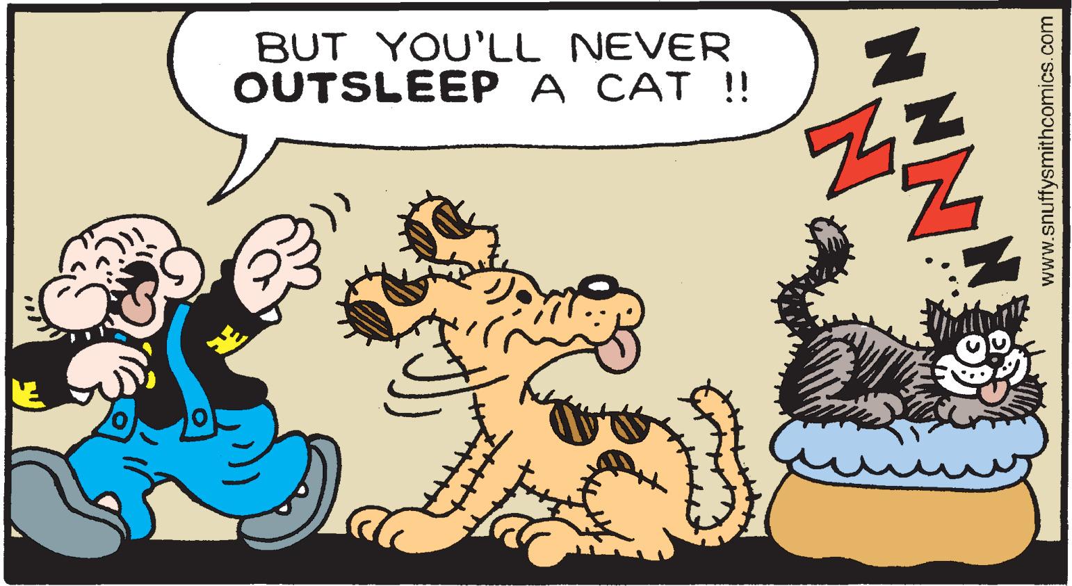 Terrestrial animal OCR: BUT YOU'LL NEVER OUTSLEEPA CAT !! NNN www.snuffysmithcomics.com BUT YOU'LL NEVER OUTSLEEPA CAT !! NNN www.snuffysmithcomics.com