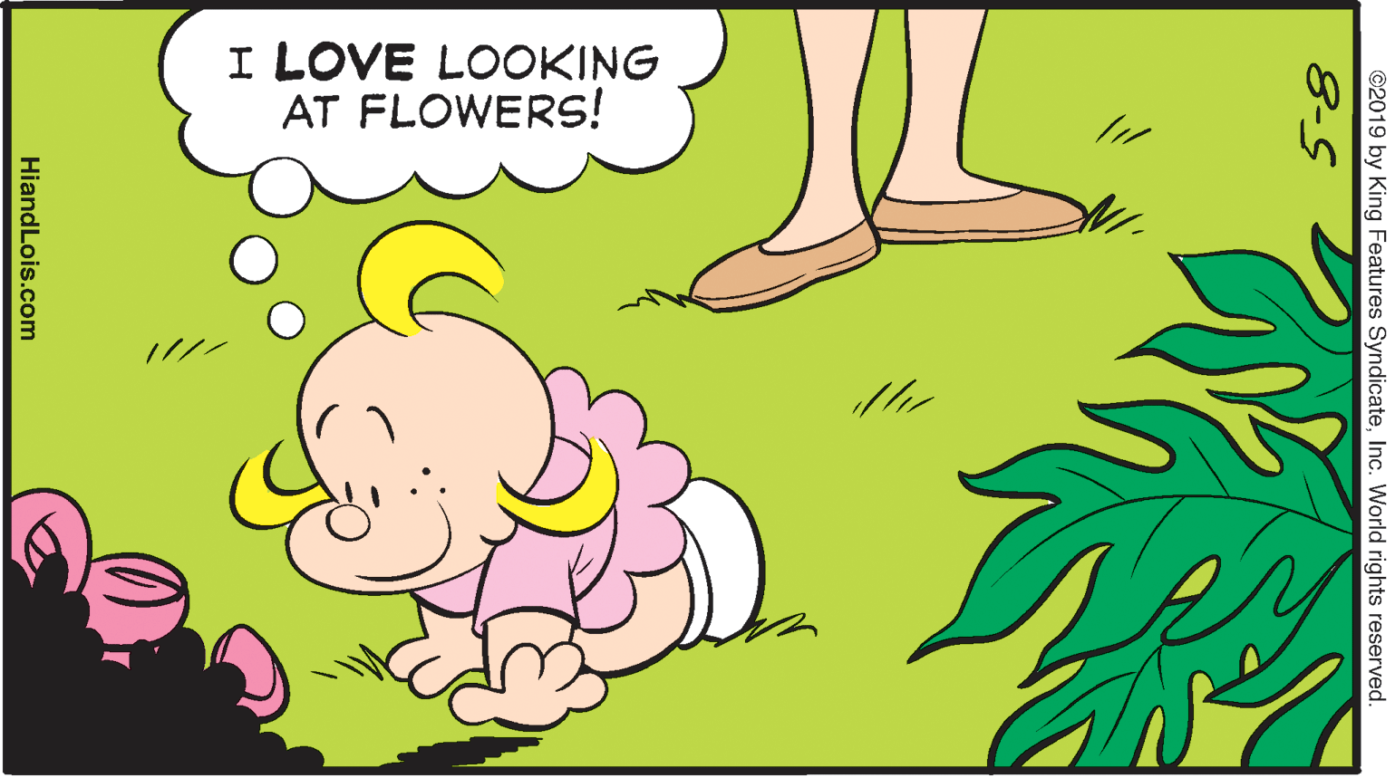 Line OCR: I LOVE LOOKING AT FLOWERS! ©2019 by King Features SyndicateInc. World rights reserved. 8-5 HiandLois.com I LOVE LOOKING AT FLOWERS! ©2019 by King Features SyndicateInc. World rights reserved. 8-5 HiandLois.com