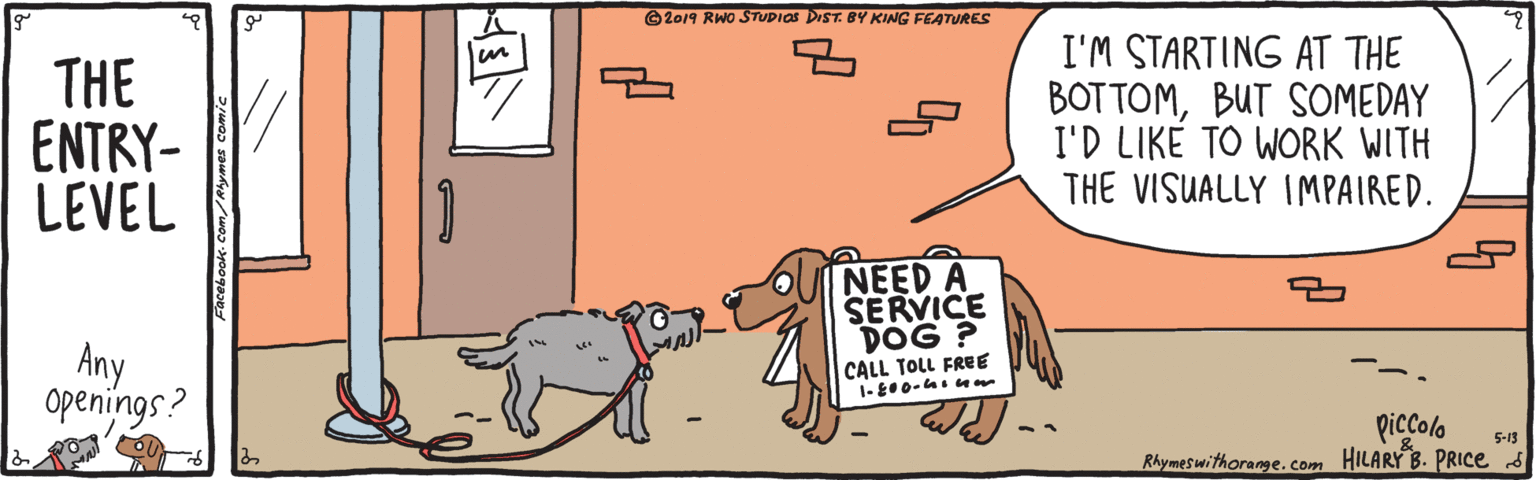 Terrestrial animal OCR: ©2019 RWO STUPIOS DIST. BY KING FEATURES THE ENTRY- LEVEL I'M STARTING AT THE BOT TOMBUT SOMEDAY I'D LIKE TO WORK WITH THE VISUALLY IMPAIRED. NEED A SERVICE DOG ? CALL TOLL FREE Any Openings? piccolo Rhymeswithorange.com HILARY B. PRICE 5-13 Svmes comic ©2019 RWO STUPIOS DIST. BY KING FEATURES THE ENTRY- LEVEL I'M STARTING AT THE BOT TOMBUT SOMEDAY I'D LIKE TO WORK WITH THE VISUALLY IMPAIRED. NEED A SERVICE DOG ? CALL TOLL FREE Any Openings? piccolo Rhymeswithorange.com HILARY B. PRICE 5-13 Svmes comic